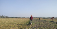  Agricultural Land for Sale in Rasauli, Barabanki