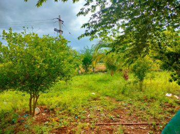  Agricultural Land for Sale in Hindupur, Anantapur