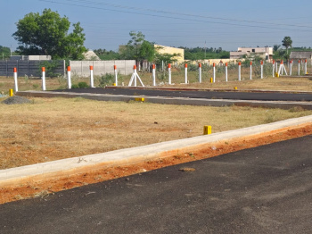  Residential Plot for Sale in Panjapur, Tiruchirappalli