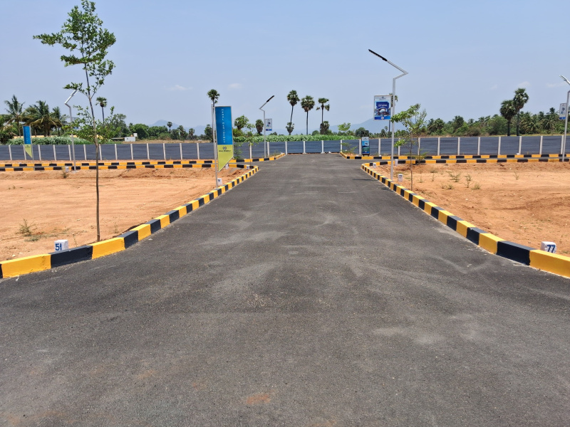 Anaicut, Vellore photo 4