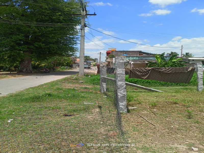 Senur, Vellore photo 5