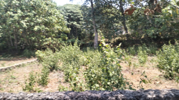  Residential Plot for Sale in Thrippunithura, Ernakulam