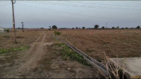  Agricultural Land for Sale in Hinganghat, Wardha