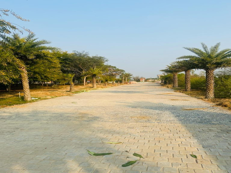 Agricultural Land 1200 Sq. Yards for Sale in Tonk Road, Jaipur