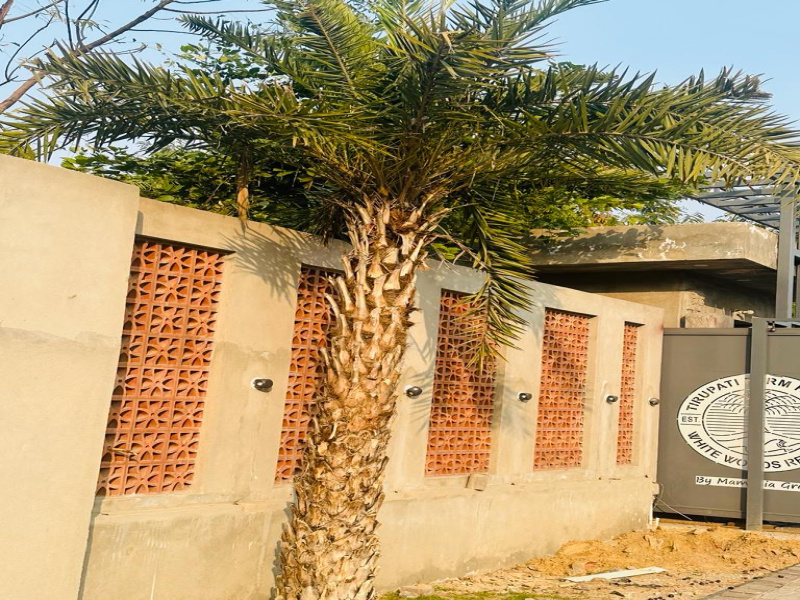  Agricultural Land 1000 Sq. Yards for Sale in Tonk Road, Jaipur