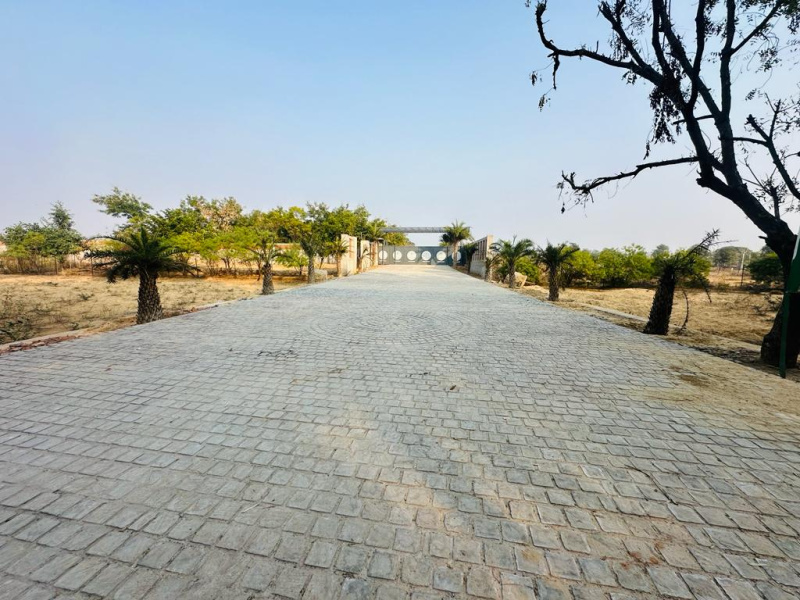 Agricultural Land 2700 Sq. Yards for Sale in Tonk Road, Jaipur