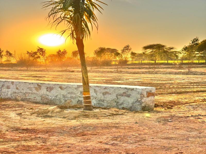  400 Sq. Yards Agricultural/Farm Land for Sale in Tonk Road, Jaipur