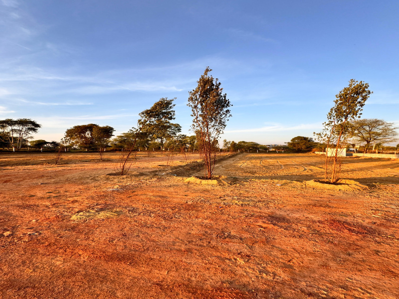  130 Sq. Yards Residential Plot for Sale in Chaksu, Jaipur
