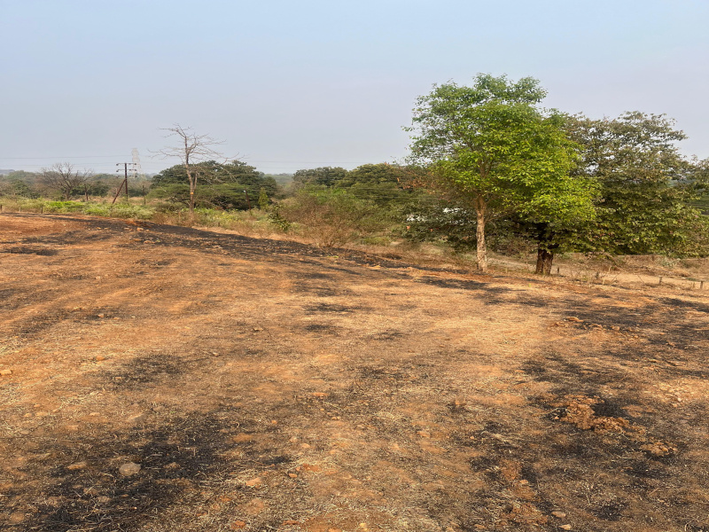  38 Guntha Agricultural/Farm Land for Sale in Neral, Raigad