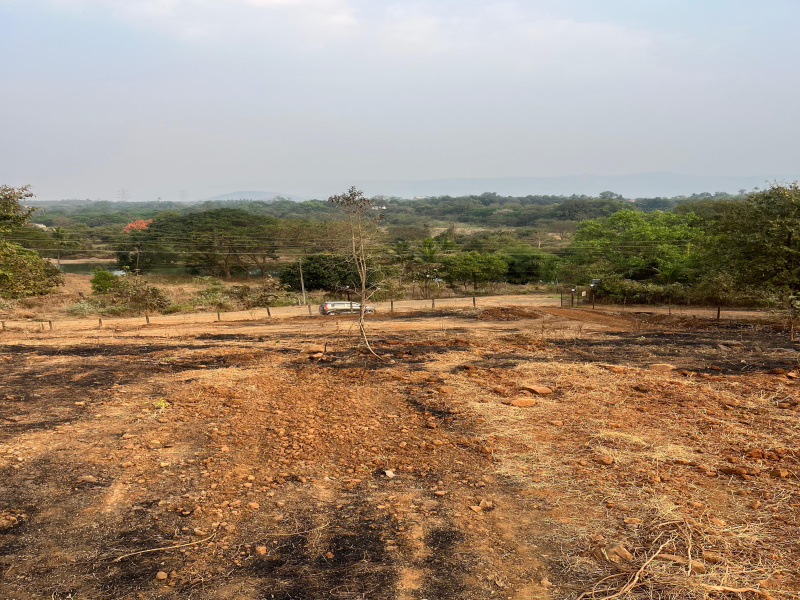  38 Guntha Agricultural/Farm Land for Sale in Neral, Raigad