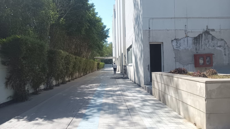  Factory 10000 Sq.ft. for Rent in Phase IV Udyog Vihar, Gurgaon