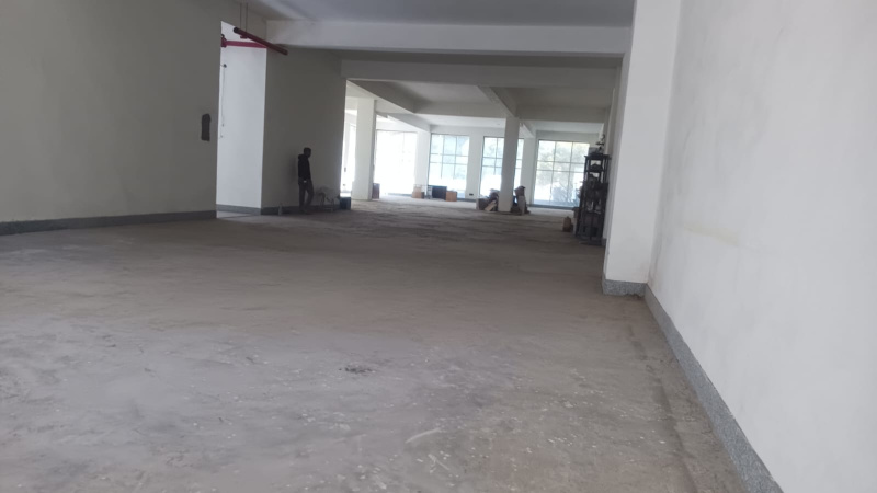  Factory 22000 Sq.ft. for Sale in Phase IV Udyog Vihar, Gurgaon