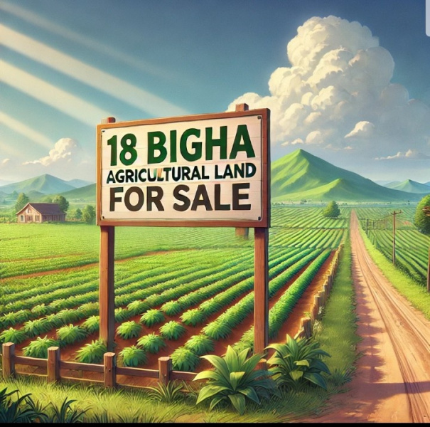  Agricultural Land 18 Bigha for Sale in Kheri, Lakhimpur Kheri