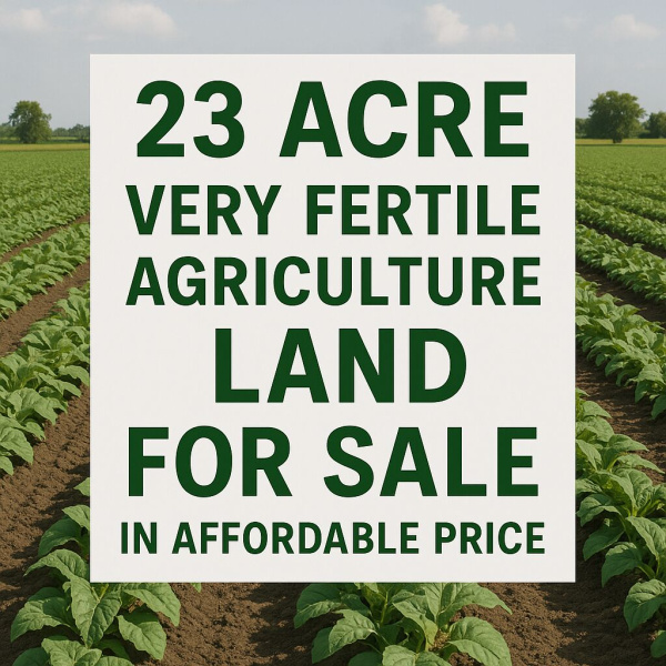  Agricultural Land 23 Acre for Sale in Kheri, Lakhimpur Kheri