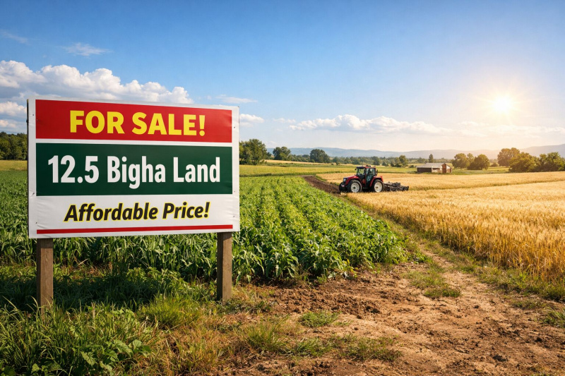  13 Bigha Agricultural/Farm Land for Sale in Kheri, Lakhimpur Kheri