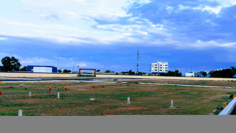  1000 Sq.ft. Residential Plot for Sale in Panjapur, Tiruchirappalli