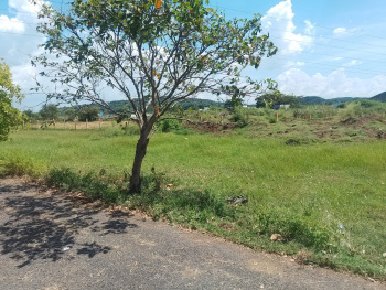  Residential Plot for Sale in Singaperumalkoil, Kanchipuram