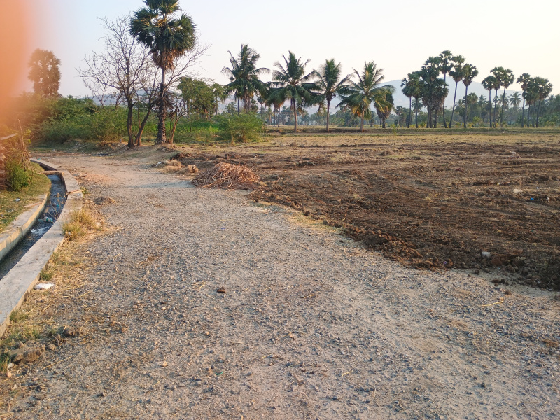  Residential Plot 110 Cent for Sale in Edappadi, Salem