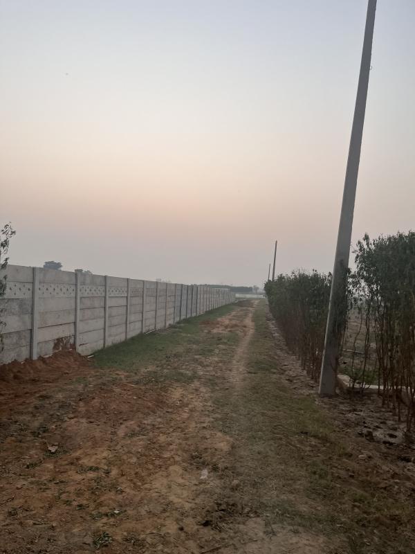 3 BHK 1800 Sq. Yards Farm House for Sale in Manjhawali Village, Faridabad