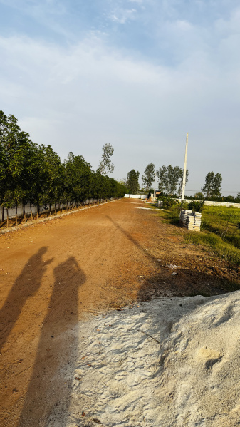 2 BHK 1100 Sq. Yards Farm House for Sale in Sikri, Faridabad