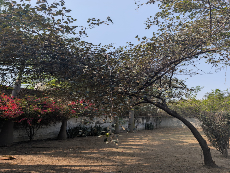 1 RK 1210 Sq. Yards Farm House for Sale in Sector 61, Faridabad