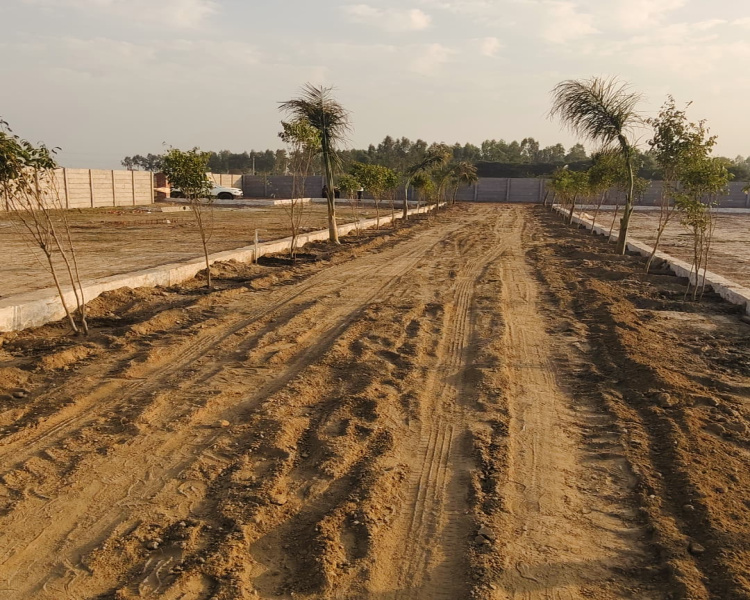 1 RK 1210 Sq. Yards Farm House for Sale in Manjhawali Village, Faridabad