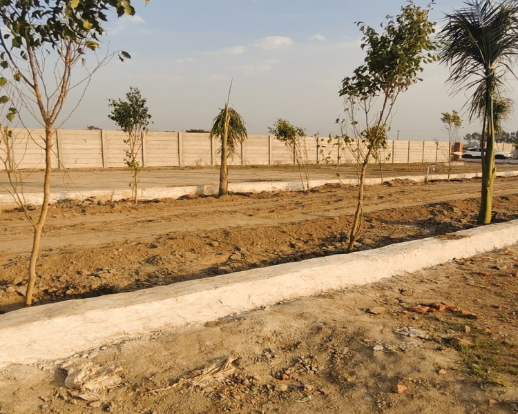 1 RK 1210 Sq. Yards Farm House for Sale in Manjhawali Village, Faridabad