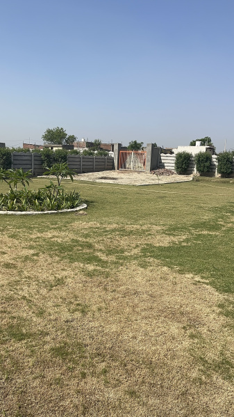  1083 Sq. Yards Residential Plot for Sale in Jasana Village, Faridabad