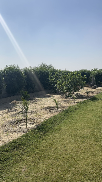  1083 Sq. Yards Residential Plot for Sale in Jasana Village, Faridabad