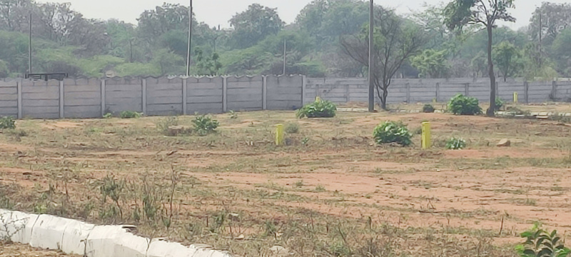  250 Sq. Yards Residential Plot for Sale in Kothur, Hyderabad
