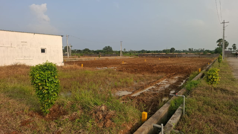  Residential Plot 160 Sq. Yards for Sale in Rajahmundry, East Godavari