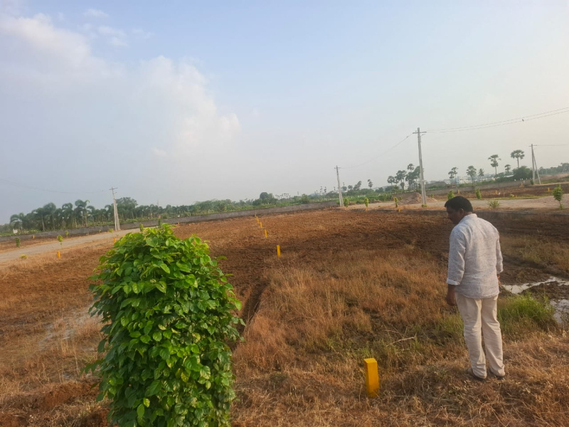  Residential Plot 160 Sq. Yards for Sale in Rajahmundry, East Godavari