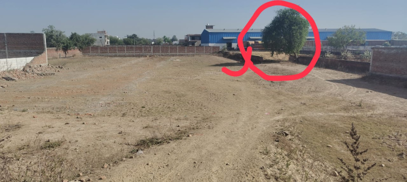  Agricultural Land 41 Biswa for Sale in Shivdaspur, Varanasi