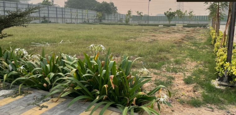  Residential Plot 260 Sq. Yards for Sale in Sector 70A Gurgaon