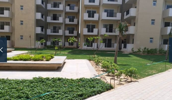 2 BHK Apartment 480 Sq.ft. for Sale in Sohna, Gurgaon