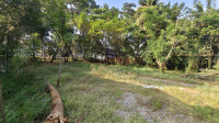  Residential Plot for Sale in Aaryad, Alappuzha
