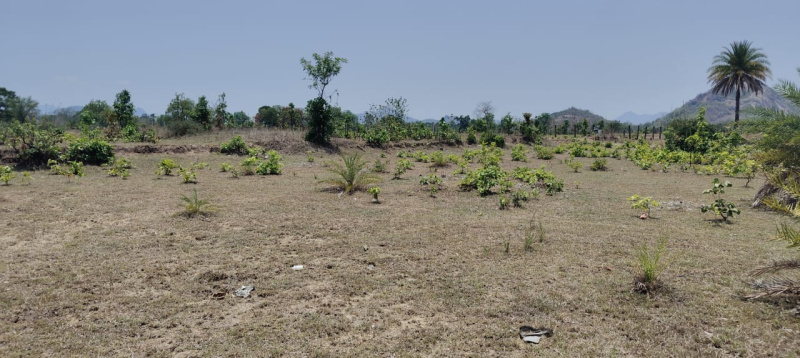  Residential Plot 10 Dismil for Sale in Bhawanipatna, Kalahandi