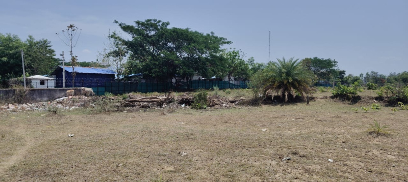  Residential Plot 10 Dismil for Sale in Bhawanipatna, Kalahandi
