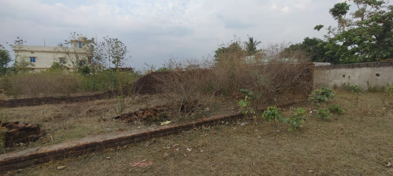  Residential Plot 6 Dismil for Sale in Bhawanipatna, Kalahandi