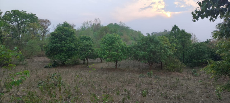  Agricultural Land 1 Acre for Sale in Bhawanipatna, Kalahandi