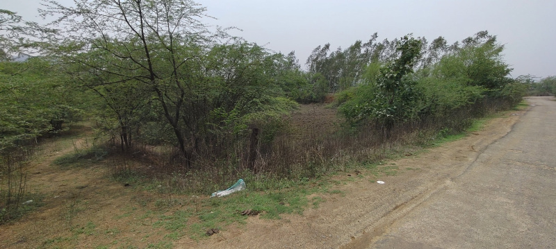  Residential Plot 10 Dismil for Sale in Bhawanipatna, Kalahandi