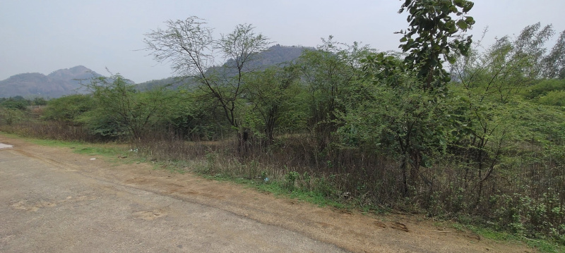  Residential Plot 10 Dismil for Sale in Bhawanipatna, Kalahandi