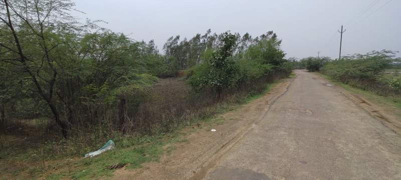  Residential Plot 10 Dismil for Sale in Bhawanipatna, Kalahandi