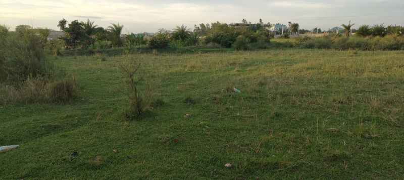  Residential Plot 10 Dismil for Sale in Bhawanipatna, Kalahandi