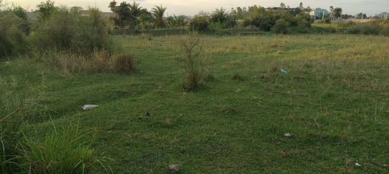  Residential Plot 10 Dismil for Sale in Bhawanipatna, Kalahandi