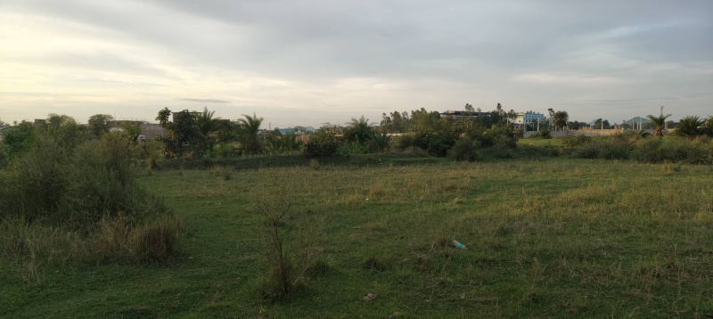  Residential Plot 10 Dismil for Sale in Bhawanipatna, Kalahandi