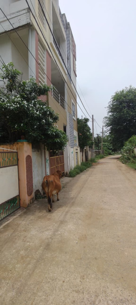 8 BHK House 4000 Sq.ft. for Sale in Bhawanipatna, Kalahandi