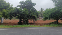  Commercial Land for Rent in Pollachi, Coimbatore