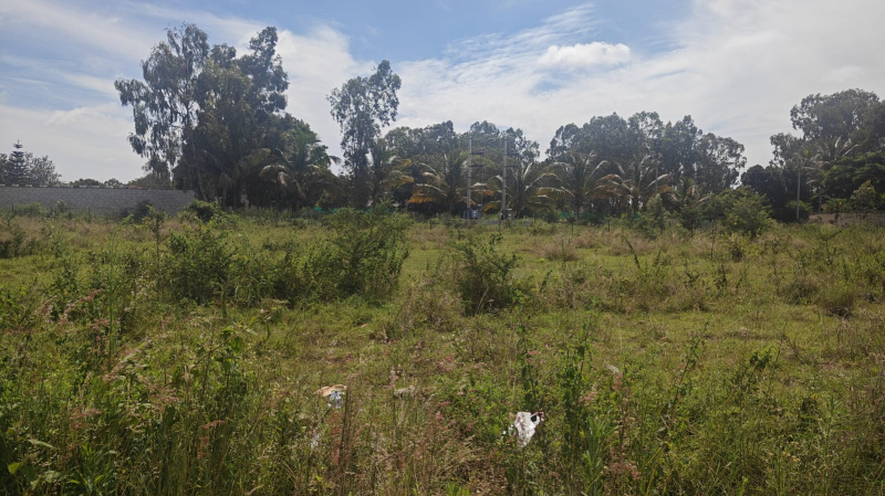  Commercial Land 15000 Sq.ft. for Sale in Sadanandanagar, Bangalore