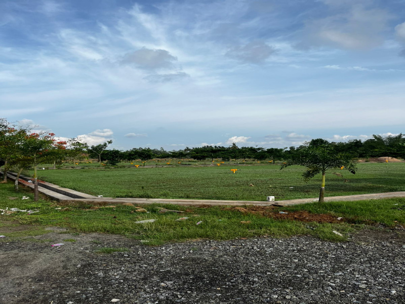  Residential Plot 200 Sq. Yards for Sale in Kothavalasa, Visakhapatnam